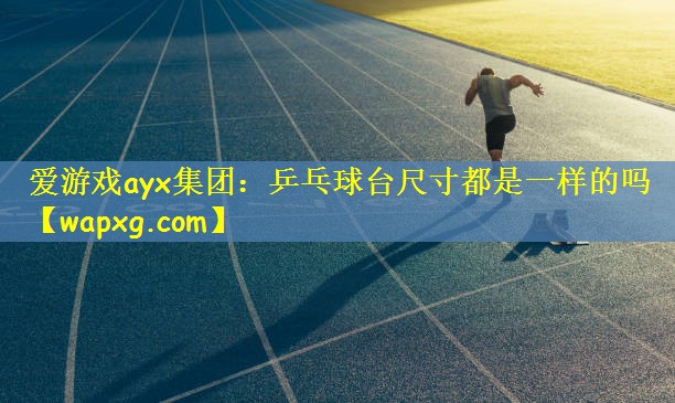 愛游戲ayx集團：乒乓球臺尺寸都是一樣的嗎