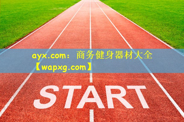 ayx.com：商務(wù)健身器材大全