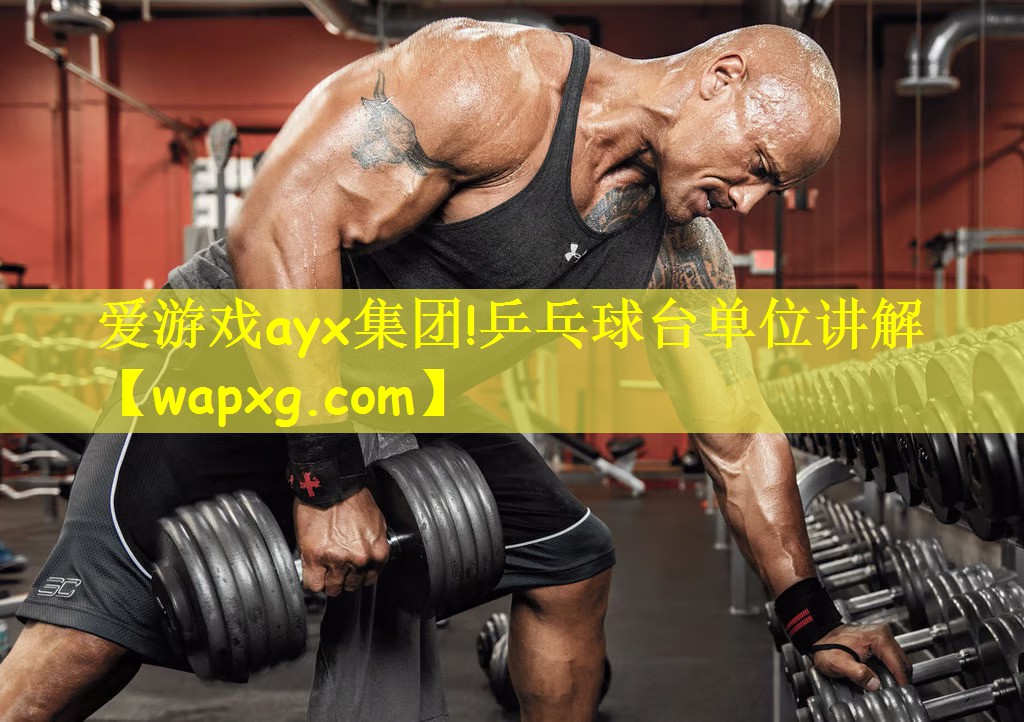 愛游戲ayx集團(tuán)!乒乓球臺單位講解