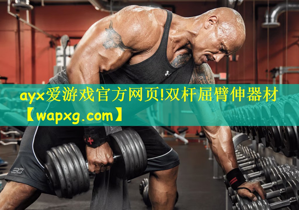 ayx愛游戲官方網(wǎng)頁!雙桿屈臂伸器材