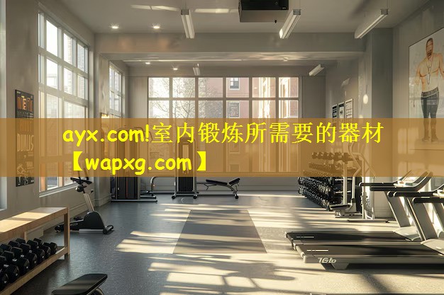 <strong>ayx.com!室內(nèi)鍛煉所需要的器材</strong>